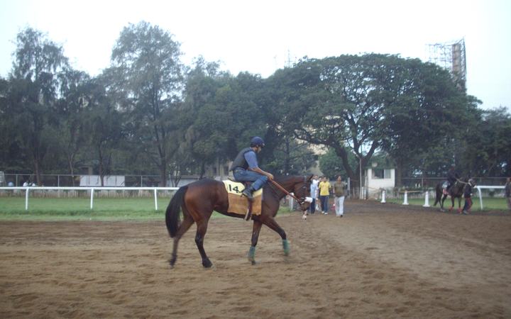 Horse racing betting
